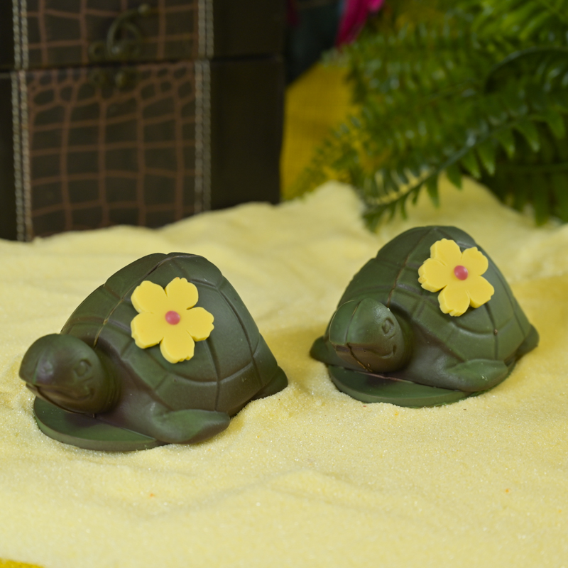 illustration pour le produit Pâques - Tortue