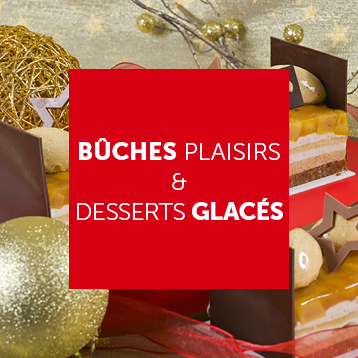 fond coloré pour le produit avec inscription Bûches plaisirs &amp; Desserts glacés